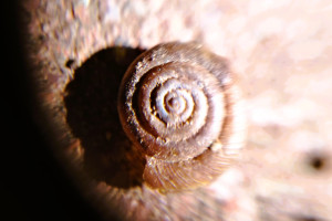 IMG-20260520-WA0005