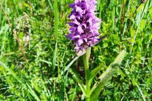IMG-20251114-WA0000
