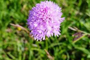 IMG-20251114-WA0002
