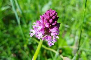 IMG-20251114-WA0003