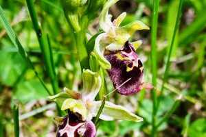 IMG-20251114-WA0005