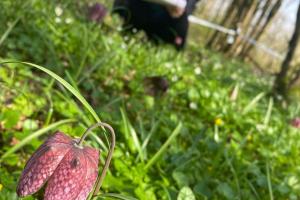 IMG-20260314-WA0002-002