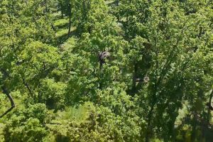 dji_fly_20250514_092755_0_1747207675169_photo_low_quality