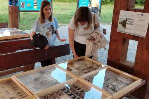 Noc-leptira-Kamanje-11