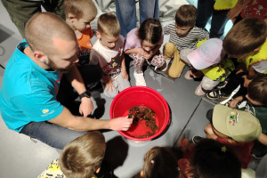 Kontrola populacija signalnog raka u rijekama Korani i Radonji