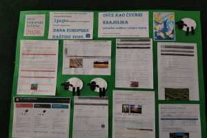 IMG-20261027-WA0000