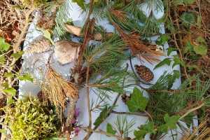 IMG-20261027-WA0001