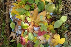 IMG-20261027-WA0002