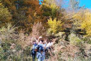 IMG-20261027-WA0003