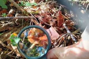 IMG-20261027-WA0011