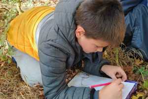 IMG-20261027-WA0012