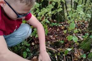 IMG-20261023-WA0005