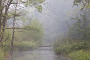 623373695_1394949372432722_7006585234777036032_n