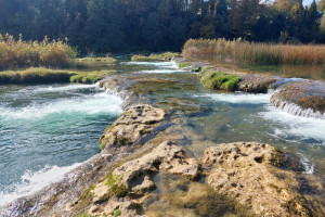 623433704_1394930329101293_8272989600002988843_n