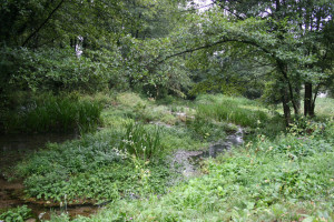 623568930_1394948145766178_1605890605967530687_n