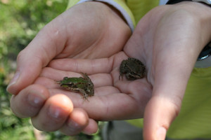 623799120_1394947019099624_7615205146251555606_n