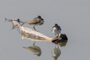 624453215_1394929235768069_1911115382492679485_n