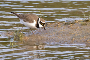 624570434_1394930879101238_6984704155807809160_n