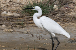 624873330_1394932405767752_9089285625194190128_n