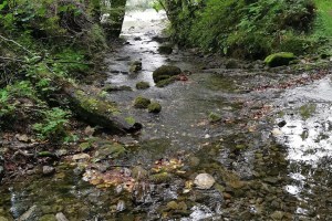 624950974_1394932082434451_8641275492144685546_n