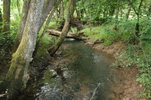 625219006_1394947345766258_6712701402973852967_n