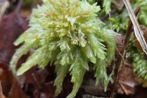 625258320_1394931322434527_8265403893811502976_n