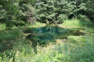 627159570_1394932352434424_2648394003441714980_n