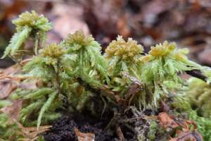 627337741_1394947162432943_4296539201537799120_n