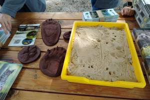 Zivjeti-s-parkom-2025-7